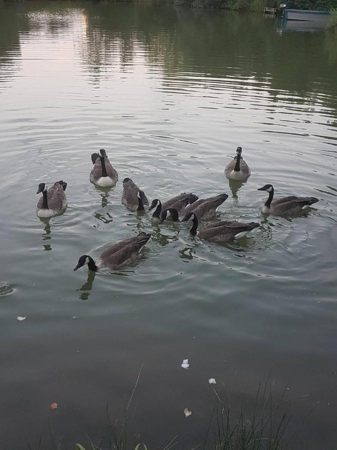 Elton Barn Fishery & Retreat Nottingham Exteriör bild