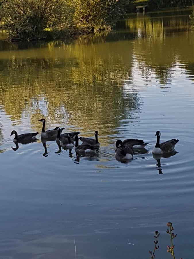 Elton Barn Fishery & Retreat Nottingham Exteriör bild